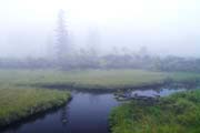 霧の神仙沼　撮影地：共和町神仙沼