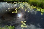 池塘と空　撮影地：共和町神仙沼