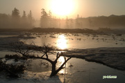 早朝の神仙沼湿原　撮影地：共和町神仙沼