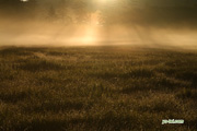 霧の神仙沼湿原　撮影地：共和町神仙沼