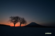 夜明け前・羊蹄山　撮影地：ニセコ町東山
