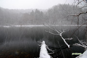 雪の半月湖　撮影地：倶知安町半月湖畔自然公園