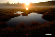 朝陽・湿原　撮影地：共和町神仙沼