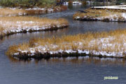 新雪の神仙沼湿原　撮影地：共和町神仙沼