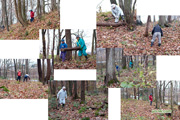 「ニセコ有島カタクリの丘」の整備作業 2009-11-1 撮影地：ニセコ町有島