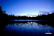 夜明け前の神仙沼　撮影地：共和町神仙沼