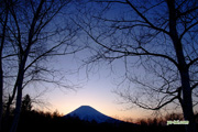 夕暮れの羊蹄山　2010-04-08　撮影地：京極町更進