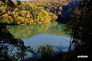 紅葉の半月湖　2013-10-019　撮影地：倶知安町半月湖畔自然公園