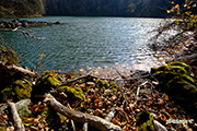 晩秋の半月湖　2014-10-26　撮影地：倶知安町半月湖畔自然公園
