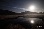 月明かりの神仙沼湿原　撮影地：共和町神仙沼